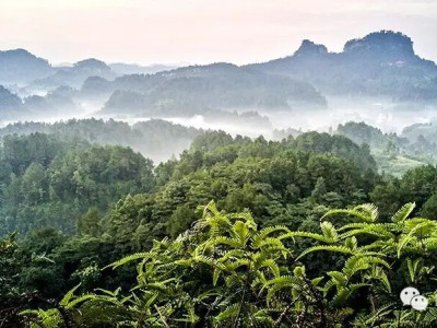 天下穹窿将名满天下