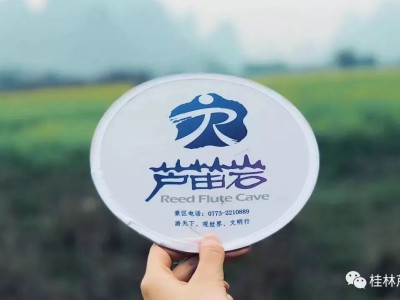 阳春三月下阳朔、赏花拓展乐开怀