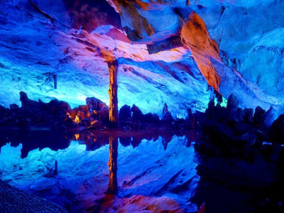 笑迎天下客，满意在芦笛！——记春节黄金周温暖时刻