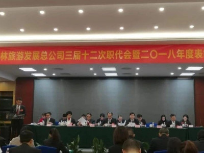 2018，我们在努力！2019，我们继续拼搏！