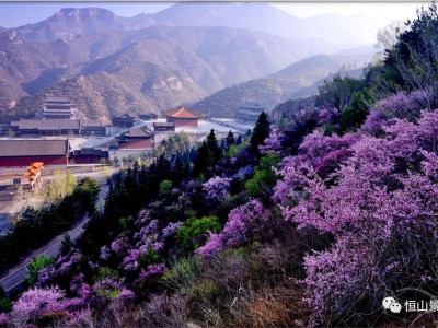 5A级景区创建指南：意义、条件与申报流程全解析