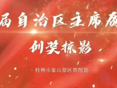 踔厉奋发 追求卓越 ▏第六届自治区主席质量奖创奖掠影