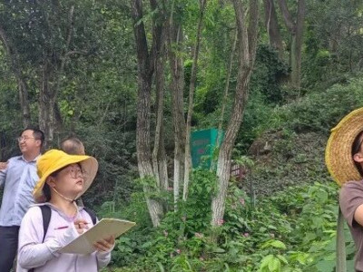 他们，在给象鼻山做“健康体检”