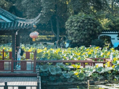 成都秋日一日游攻略：郫都宝藏路线，耍农家乐吃黄辣丁