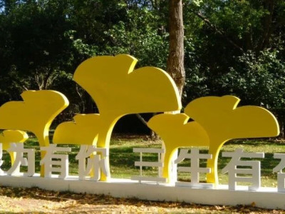 徐州龟山汉墓崖洞墓开凿之谜解析，探寻汉代墓葬七大未解之谜