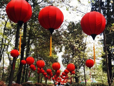 情深永续 花灯长明  | 成都武侯祠博物馆助力陕西勉县第二十一届诸葛亮文化旅游节