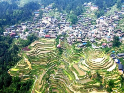 高山梯田美如画