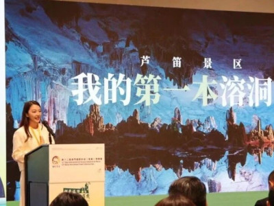 桂澳相约 共话合作|桂林旅游投资集团参加第12届澳门国际旅游（产业）博览会