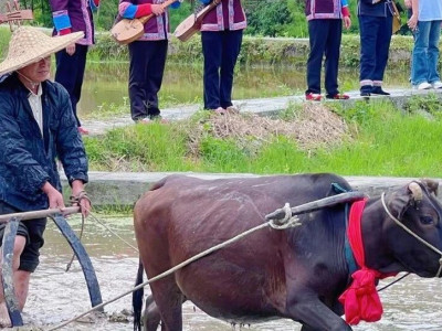 五一特辑｜程阳八寨5A杯民族特色运动会，开耕一起嗨～