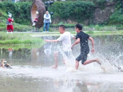 五一特辑 | 回顾假期在程阳八寨完成的五个“一”