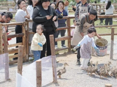 火出圈了！桂林人“反向旅游”是什么体验？