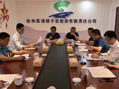 桂林市国资委党委书记、主任蒋平华一行到银子岩景区调研指导