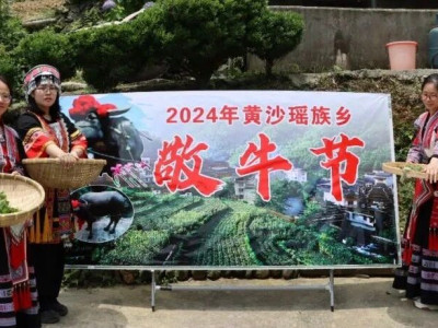 黄沙瑶族乡“四月八”敬牛节
