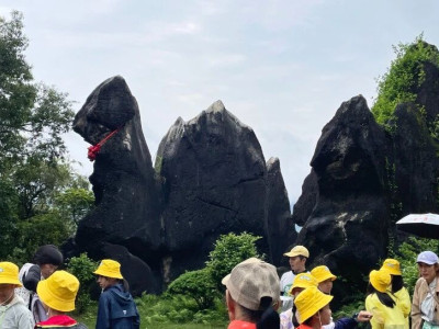 甜蜜六一 | 免票探索玉石林里的有趣石头！