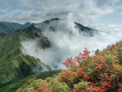 “ 相约天湖，共赏杜鹃 ”优秀作品展示（第一期）