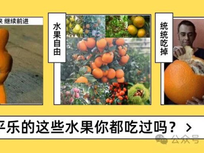 桂林平乐的这九大水果，你都吃过吗？