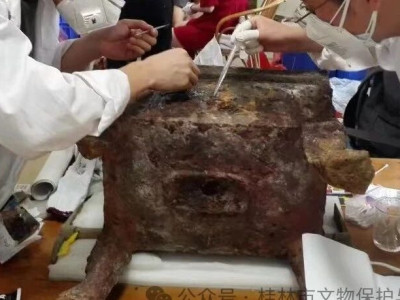 东西巷挖出两百多岁的“宝贝”！