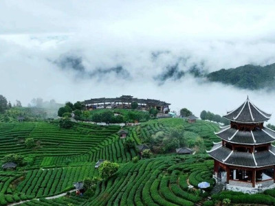 【乡村振兴我来说】八江镇：产业赋能 文化铸魂 擘画乡村振兴新蓝图