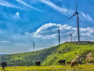 不必去远方，桂林资源也有属于自己的“阿勒泰”