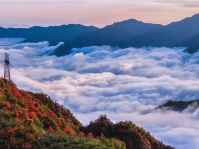 “ 相约天湖，共赏杜鹃 ”优秀作品展示（第二期）