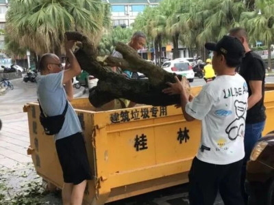 两江四湖公司参与漓江航道隐患整治活动，确保游船安全通航