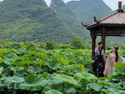 小荷已露尖尖角！