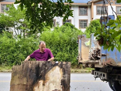 姑婆山创建国家级旅游度假区环境卫生整治，我们在行动