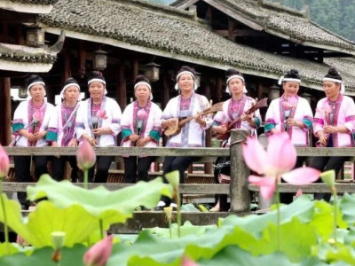 ​【巩固拓展脱贫攻坚成果 全面推进乡村振兴】侗寨夏至荷花艳；乐学厨艺促就业