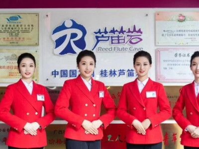 喜报丨芦笛景区——《勇于创新，全力促国宾品牌提质升级》荣获2023 年广西旅游行业创新发展推介案例