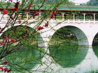 七星景区|提品质、优服务、树品牌、---品质领航，服务筑梦（一）