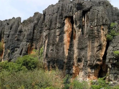 【石海探奇】石林的“辈分”