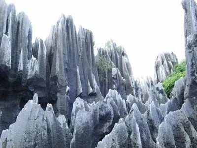 高山为谷谷为陵，三亿年前海底行