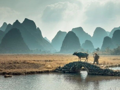 葡萄成熟时，一同探寻临桂四塘状元文化之旅