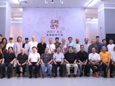 展览现场 | 趣味 · 本色——唐苏宁 林艺 水墨画双个展开幕