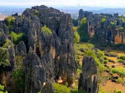 独一无二的黑色石林