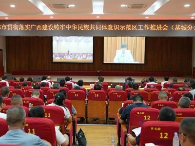 我县组织参加桂林市贯彻落实广西建设铸牢中华民族共同体意识示范区工作推进会