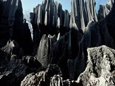 石海漫游之石头森林