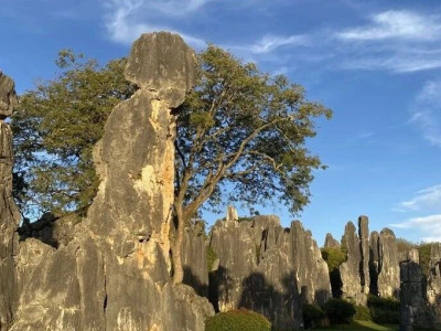 石林的心动邀约