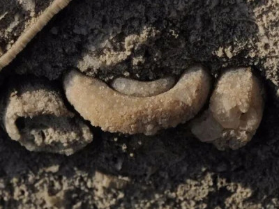 石海漫游之古海传奇