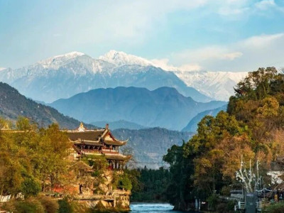 百花奖的提名影片中，竟藏着这么多的四川元素，其中更有都江堰！