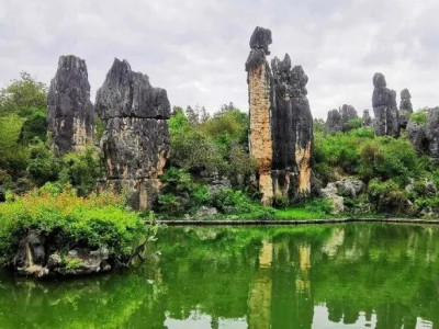 暑期走进石林：美景与欢乐同行