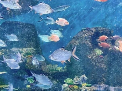 「新耍法」夜游桂林动物园特别企划！