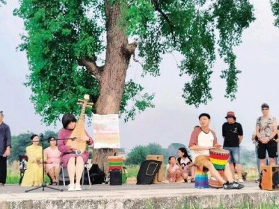 雁山区柘木镇 “柘漓问稻” 稻田音乐会点燃盛夏