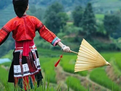 龙脊梯田福利来了！广西公休假期间优惠活动