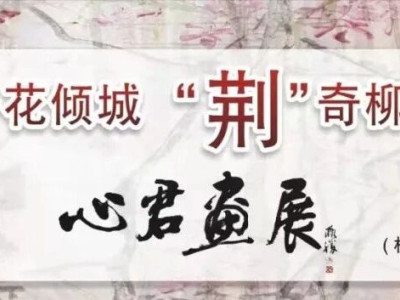 展览预告 | 一花倾城 “荆”奇柳州心君画展（桂林站）