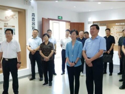肥城市委书记张莉一行考察调研泰山文旅集团项目