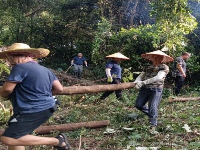 【旅股党旗红】贺州温泉公司党员干部与骨干联合行动共筑美丽园区