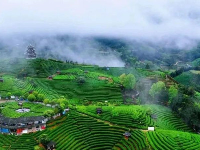 咬定目标不放松 心无旁骛抓落实——县区委书记谈“同心克难、改革向新、重振柳州”​之三江侗族自治县