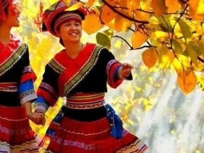 桃源古镇、万亩柿园、“中国咖啡”...在桂林，总要来一趟这座魅力瑶乡！