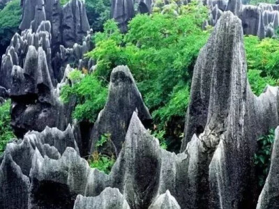 大石林的“剑林”奇观——剑状石林